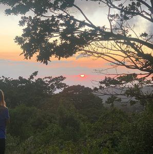 Meet your Posher, Debbie joy